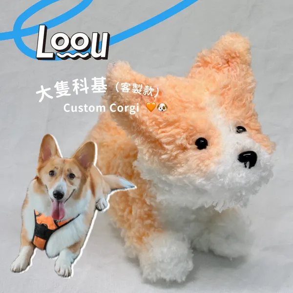 客製款 大科基 Custom Corgi 🧡🐶 #022